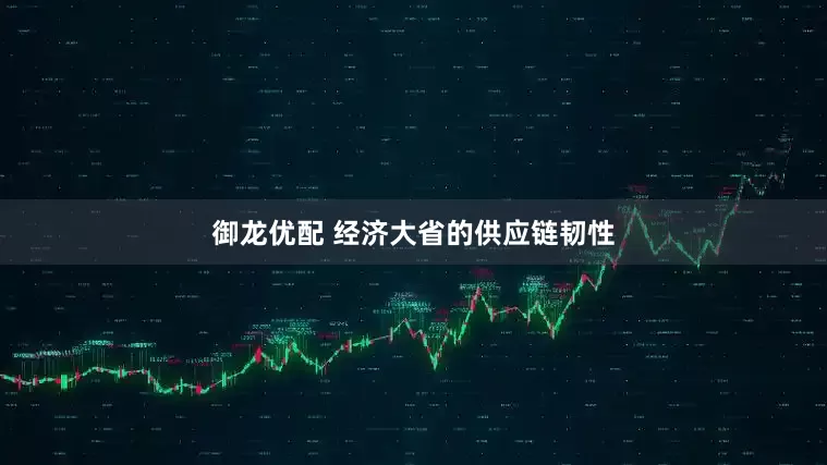 御龙优配 经济大省的供应链韧性