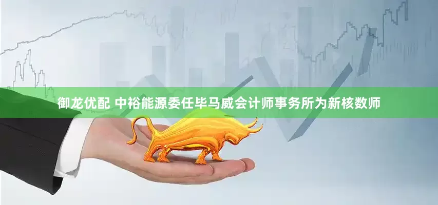 御龙优配 中裕能源委任毕马威会计师事务所为新核数师